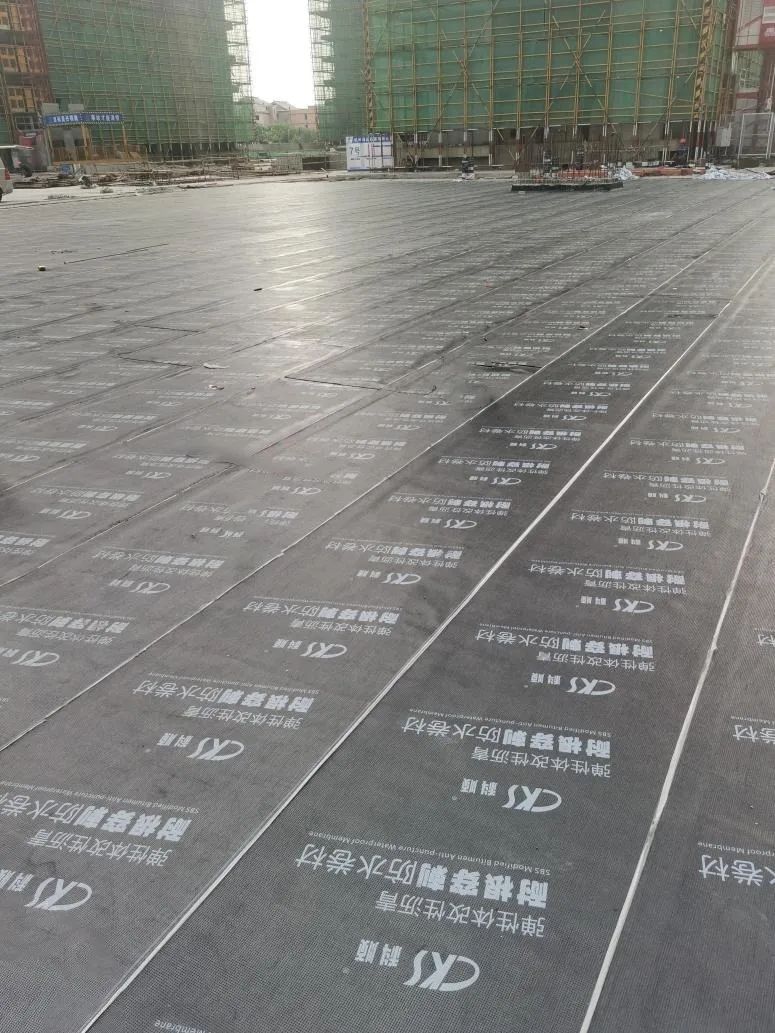 1655772992178121.jpg 640.jpg