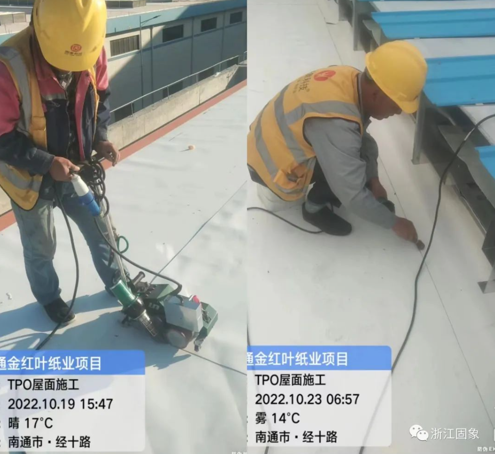 1685002957120848.png image.png